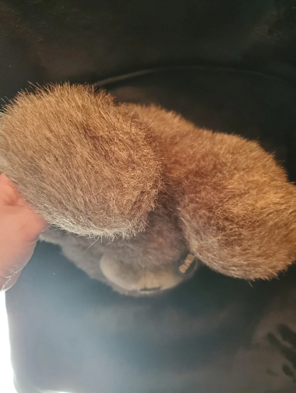 Gund questions leave